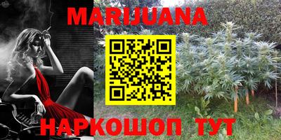 стафф Обь
