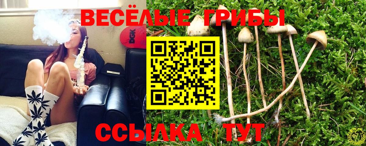 Соль-Илецк  Галлюциногенные грибы Cubensis  Вход с VPN 